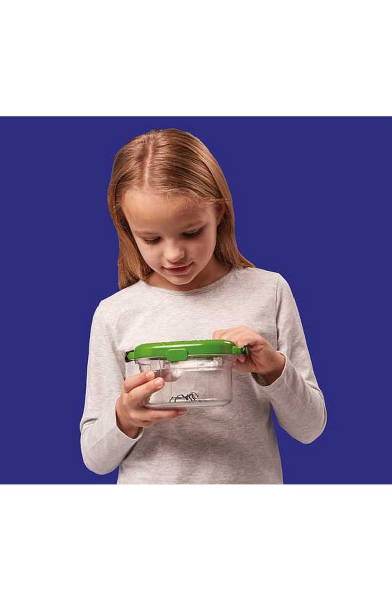 Brainstorm Outdoor Adventure Bug Viewer, Alternate, color,