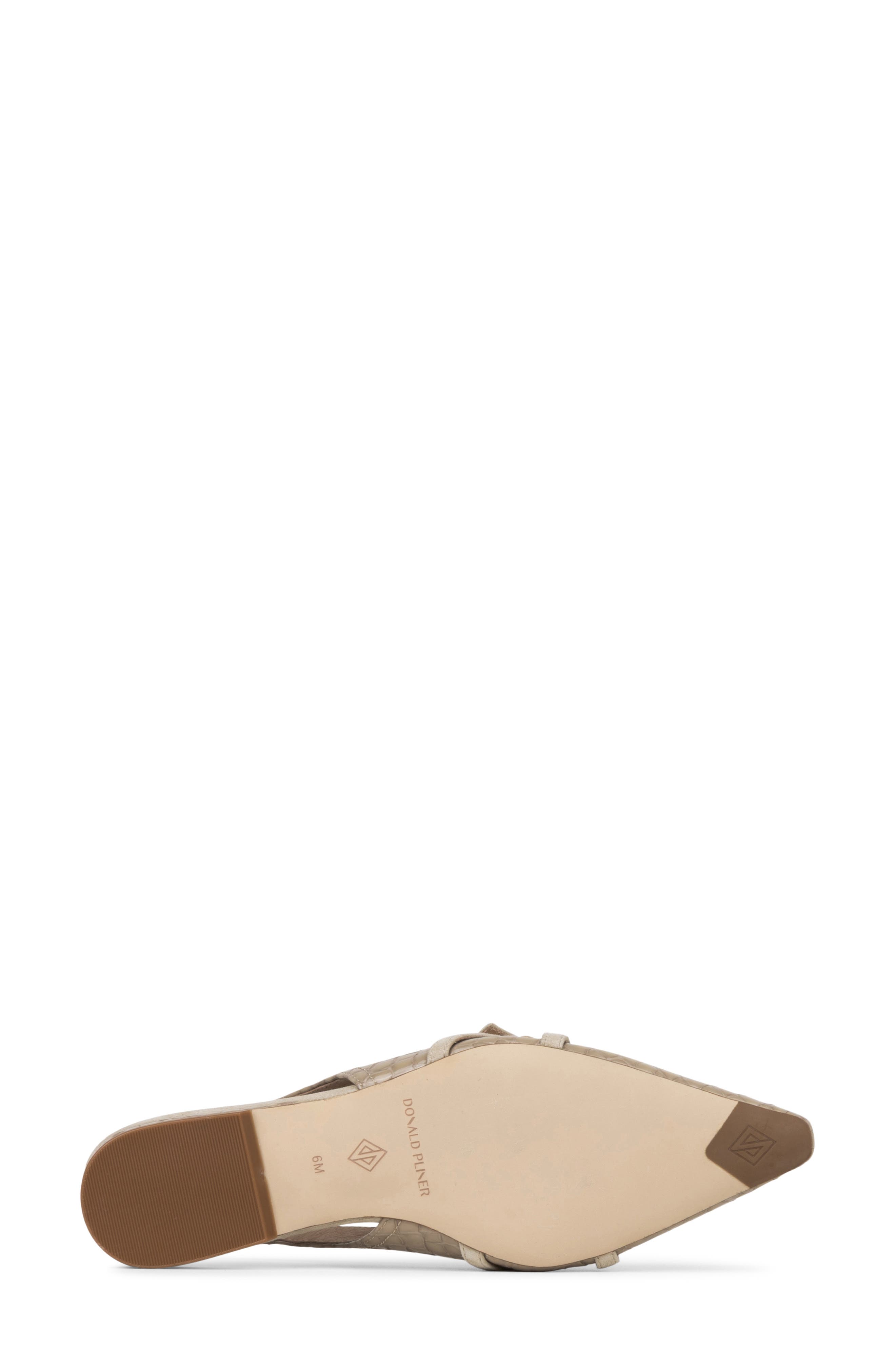 Darcelle Pointed Toe Slingback Flat, Alternate, color, PRALINE