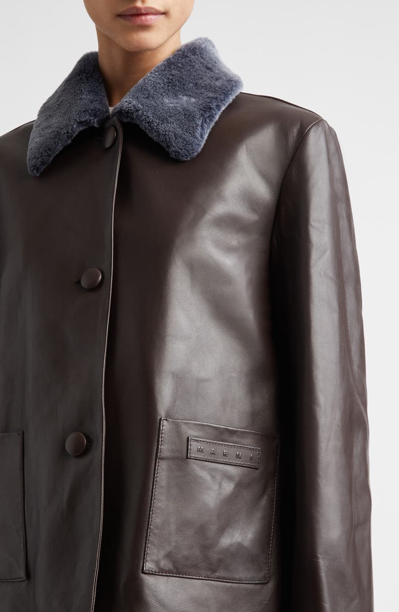 Marni Leather Jacket with Genuine Shearling Collar, Alternate, color, Chocolate