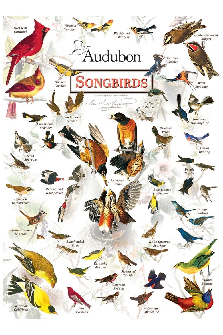 Audubon Songbirds 1000 Piece Puzzle, Alternate, color, Multicolor