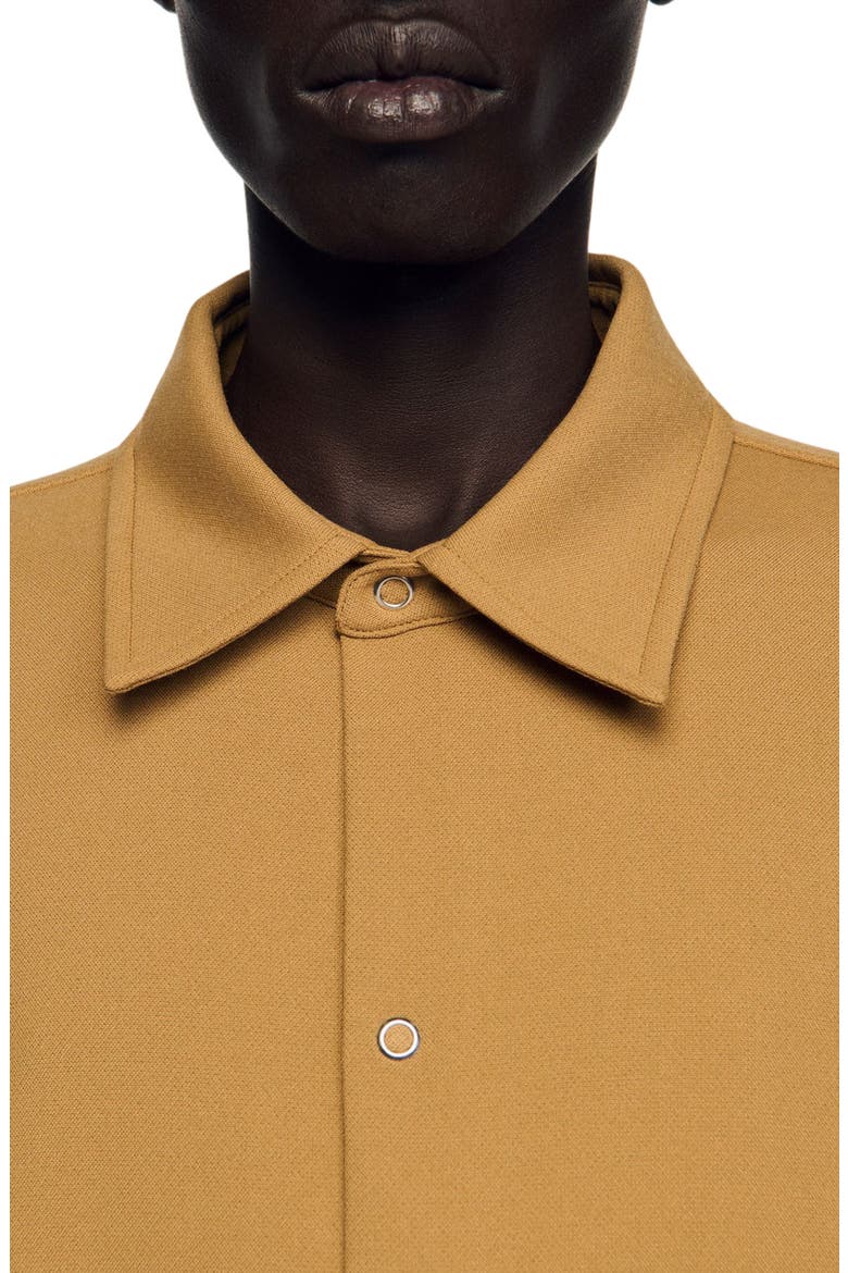 Long-sleeved jersey shirt, Alternate, color, Nut