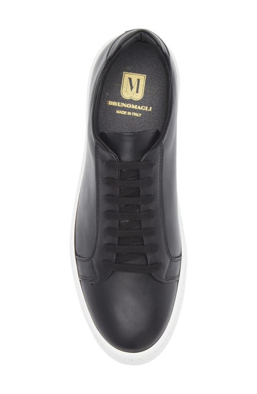 Bruno Magli Magnifico Low Top Sneaker In Black