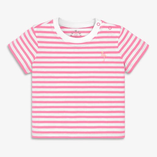 Primary Kids'  Baby Embroidered Stripe Tee In Pink