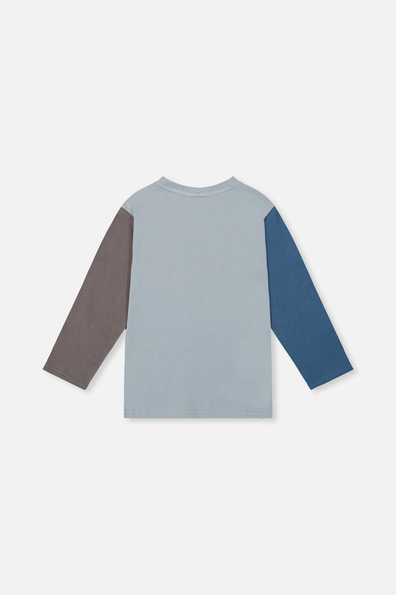 Organic Cotton Crew Neck Dino Graphic Long Sleeve T-Shirt, Alternate, color, Sky Blue