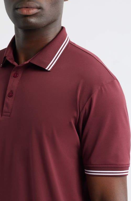 Swannies Thatcher Tipped Performance Polo In Burgundy