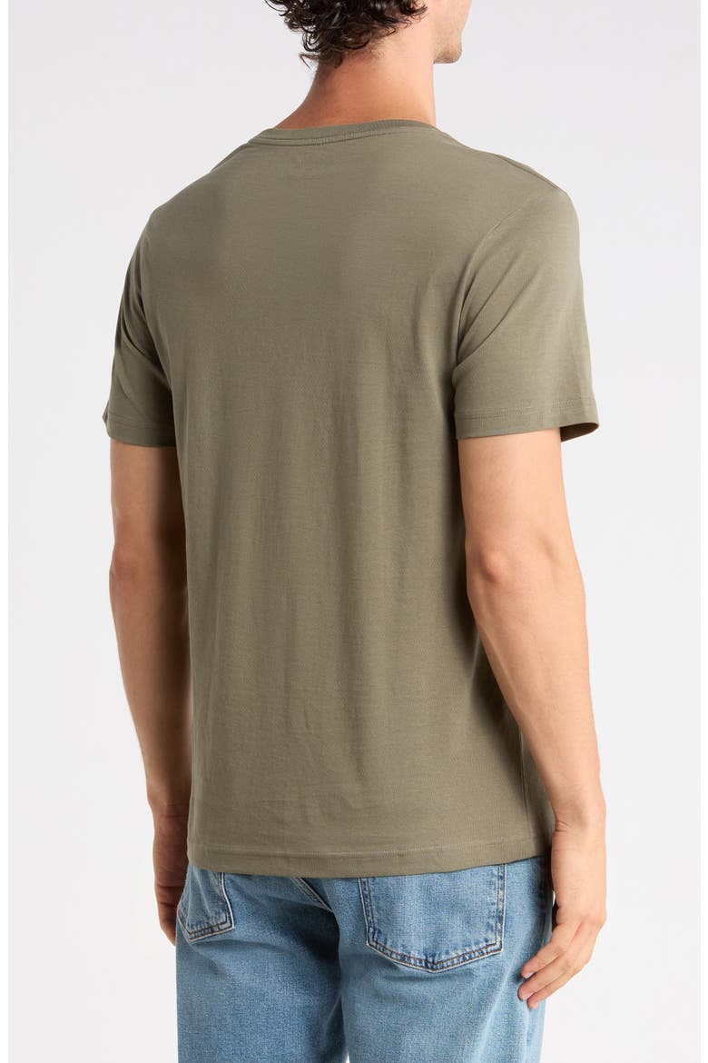 Palm Stripe Cotton Graphic T-Shirt, Alternate, color, OLIVE GREY