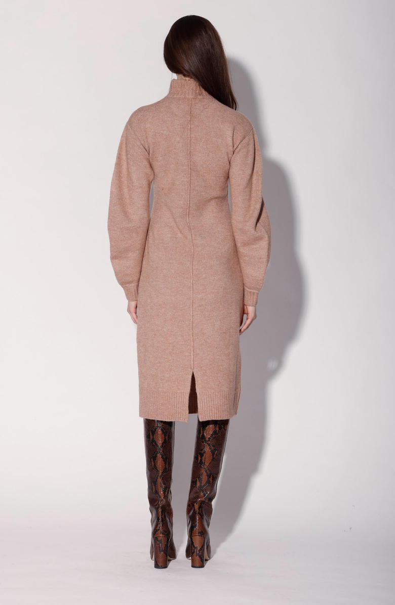 Walter Baker Adalina Dress, Alternate, color,