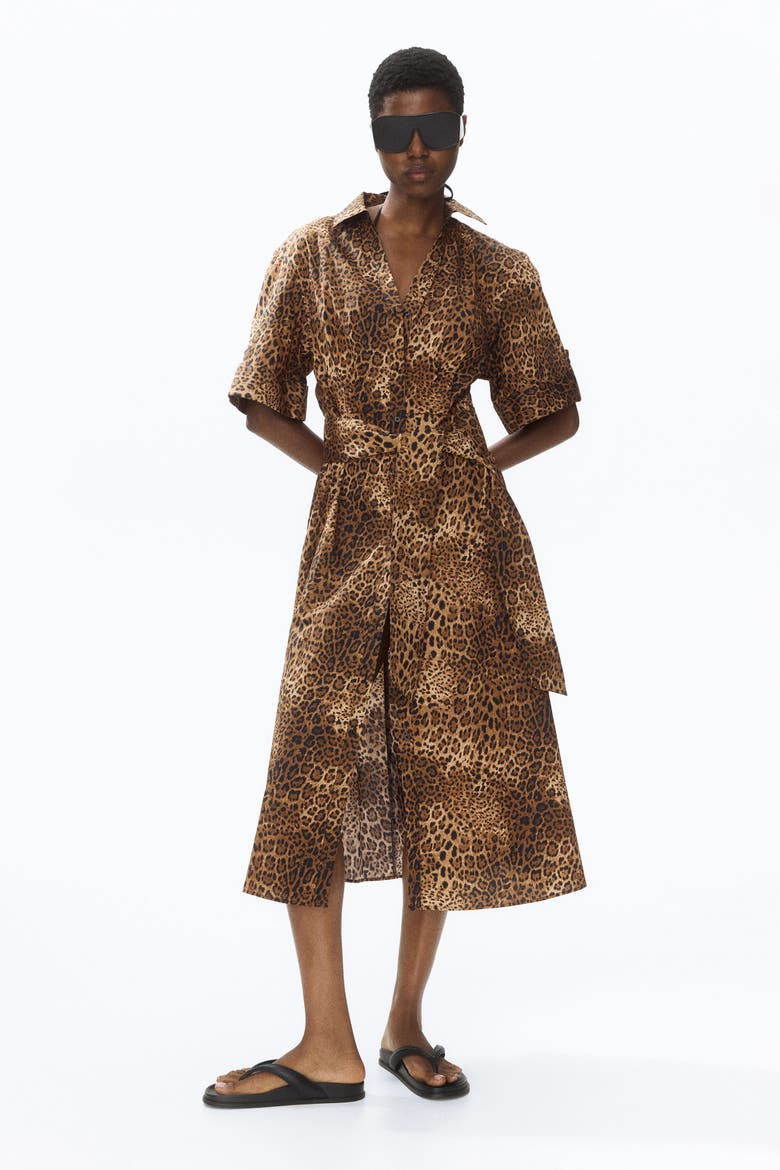 Tie-belt Dress, Alternate, color, Brown/leopard print