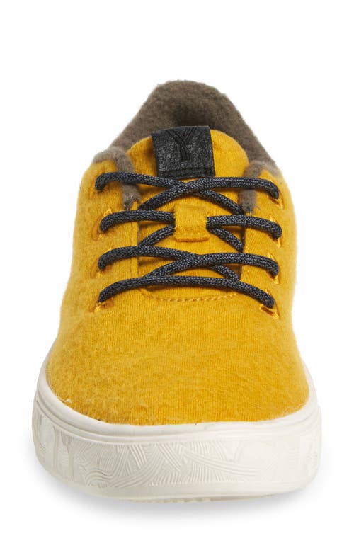 Yy Nation Cirro Wool Blend Water Resistant Low Top Sneaker In Spectra Yellow/white