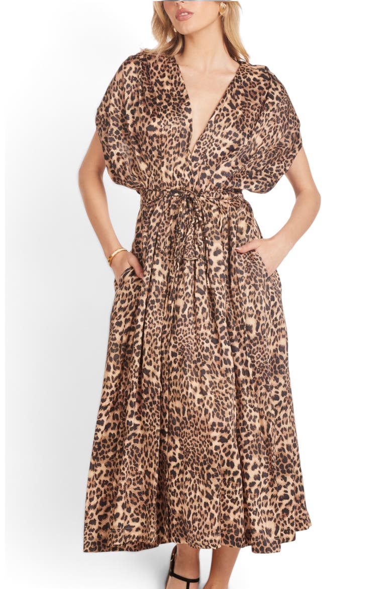 Shaun Button Front Shirtdress, Main, color, Leo Print