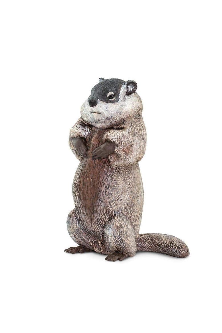 Groundhog Toy, Main, color, No Color