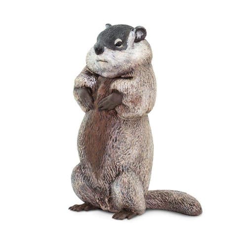 Groundhog Toy