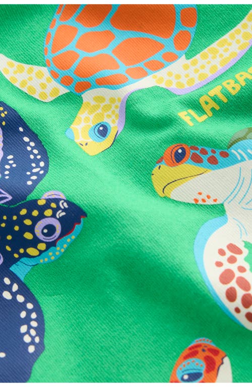 Shop Mini Boden Kids' Sea Turtle Cotton Graphic T-shirt In Green/blue Turtles