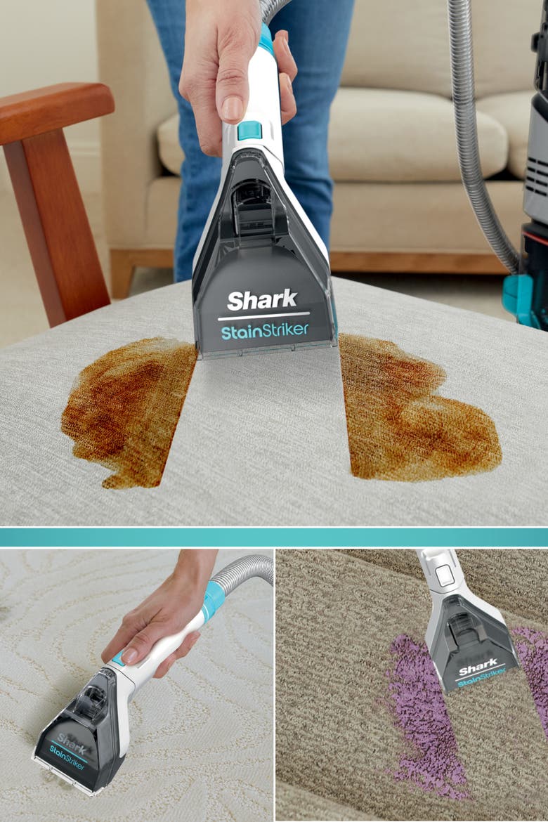 CarpetXpert Upright Deep Carpet Cleaner, Alternate, color, Teal