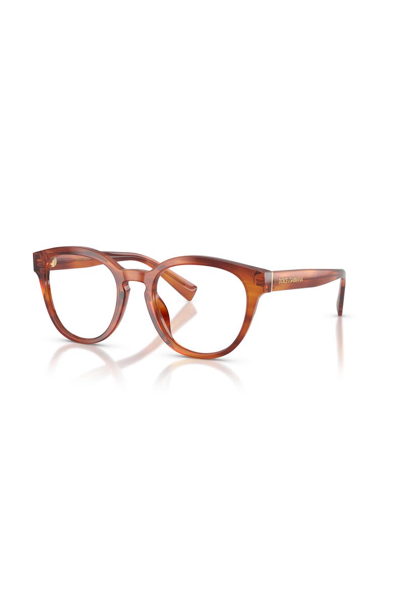Dolce&Gabbana 50mm Phantos optical glasses, Main, color, Brown