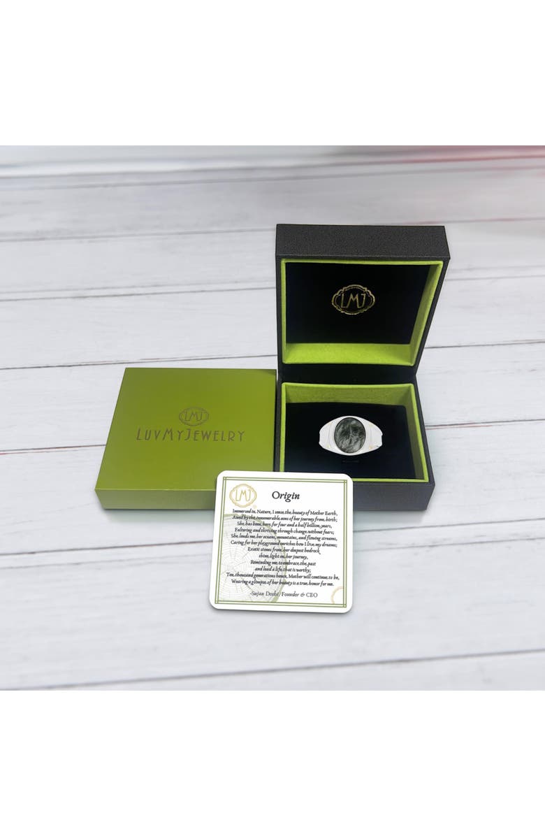 LuvMyJewelry Seraphinite Iconic Sterling Silver Men Signet Ring, Alternate, color, Silver