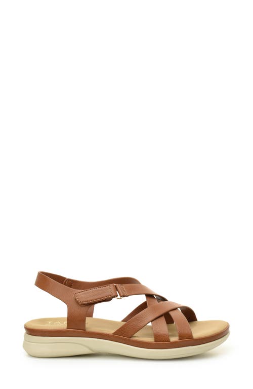 Taryn Rose Lasercut Slide Sandal In Tan