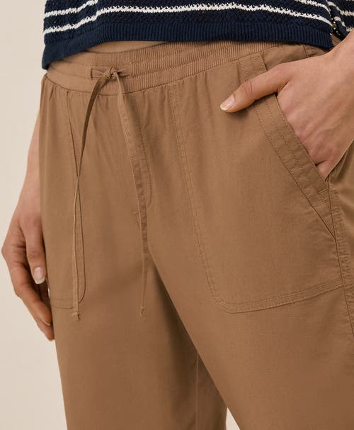Pact Organic Cotton Monterey Poplin Jogger In Brown