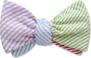 Beau Ties of Vermont Four Rivers Bay Reversible Bow Tie