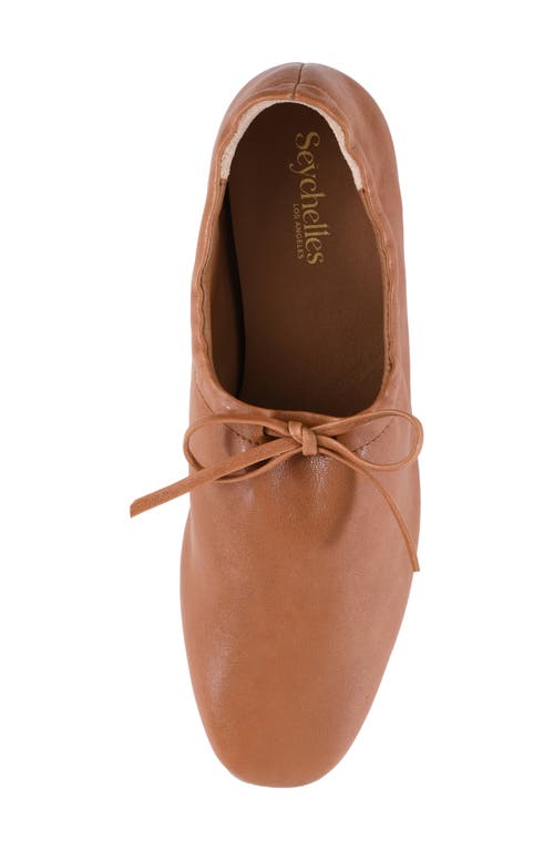 Seychelles Curtsy Flat