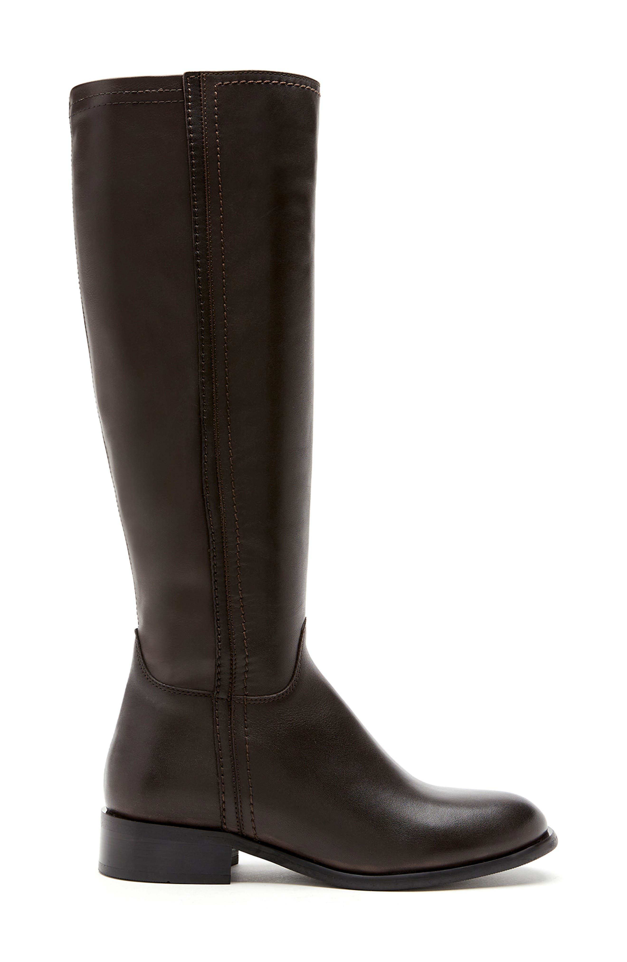 La Canadienne Amir Waterproof Tall Boot, Alternate, color, Brown