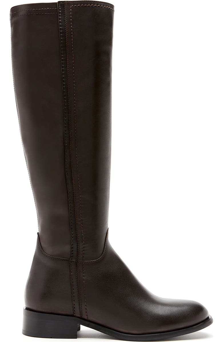 La Canadienne Amir Waterproof Tall Boot, Alternate, color, Brown