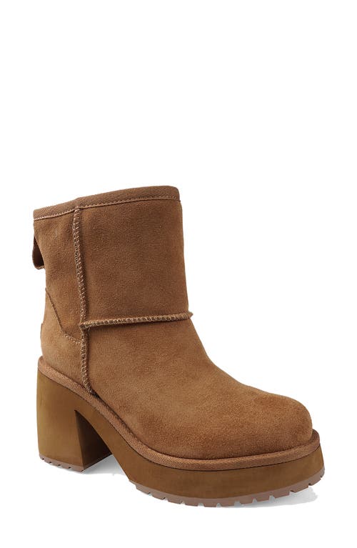Candies Candie's Luccia Platform Bootie In Brown