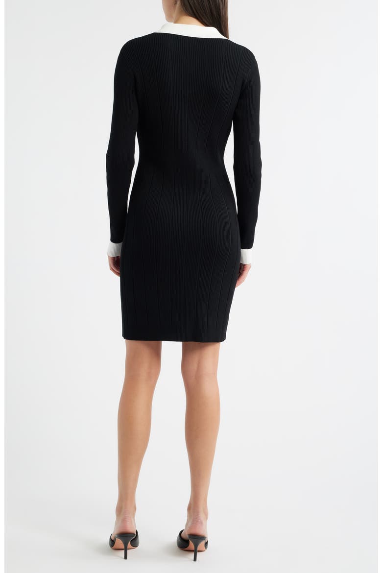Long Sleeve Polo Dress, Alternate, color, BLACK WHITE