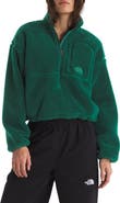 The North Face Extreme Pile 2 Fleece Half Zip Pullover