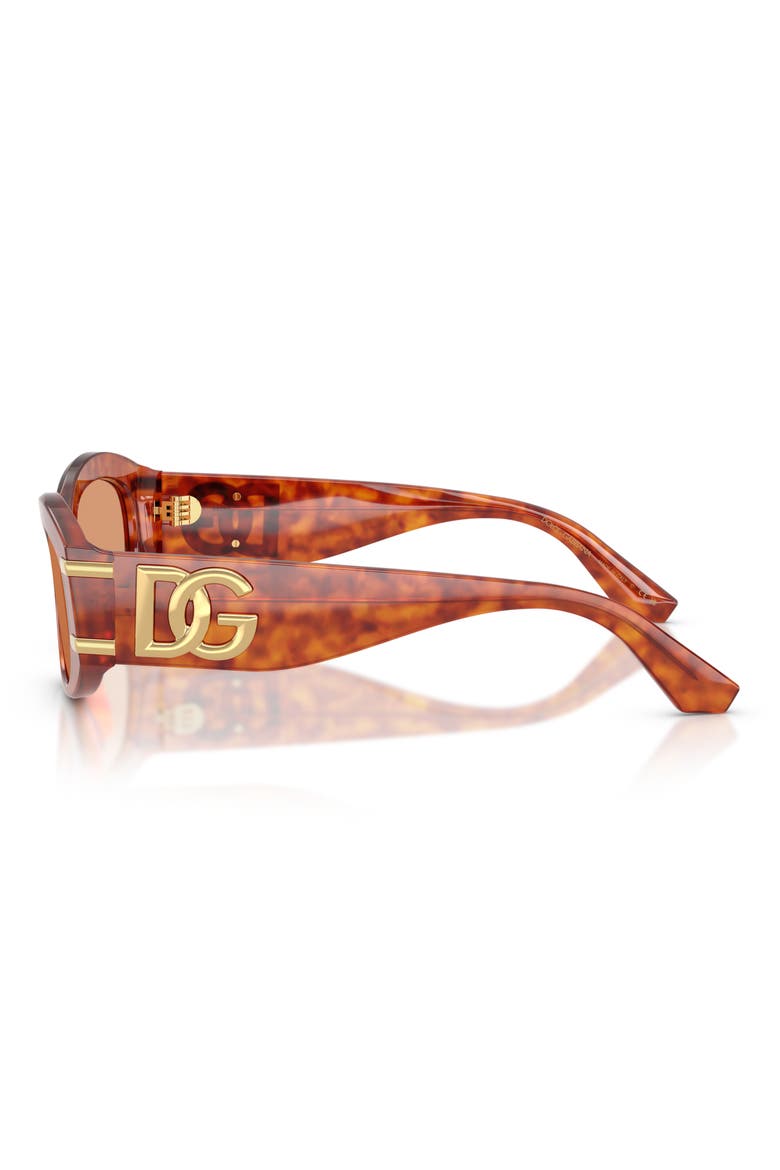 55mm Oval Sunglasses, Alternate, color, CAMEL HAVANA / ORANGE