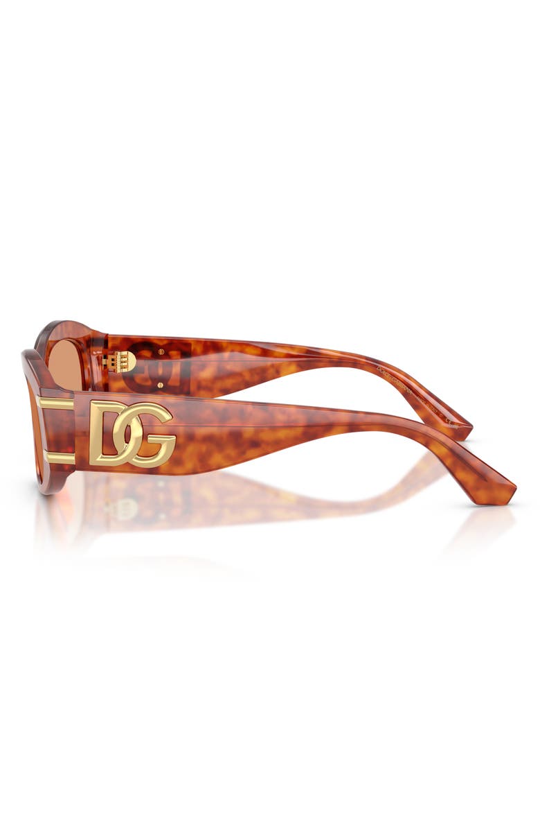Dolce&Gabbana 55mm Oval Sunglasses, Alternate, color, Camel Havana / Orange