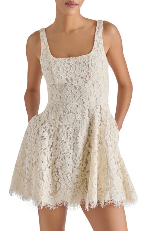 Steve Madden Knightley Cotton Blend Lace Minidress In Neutral