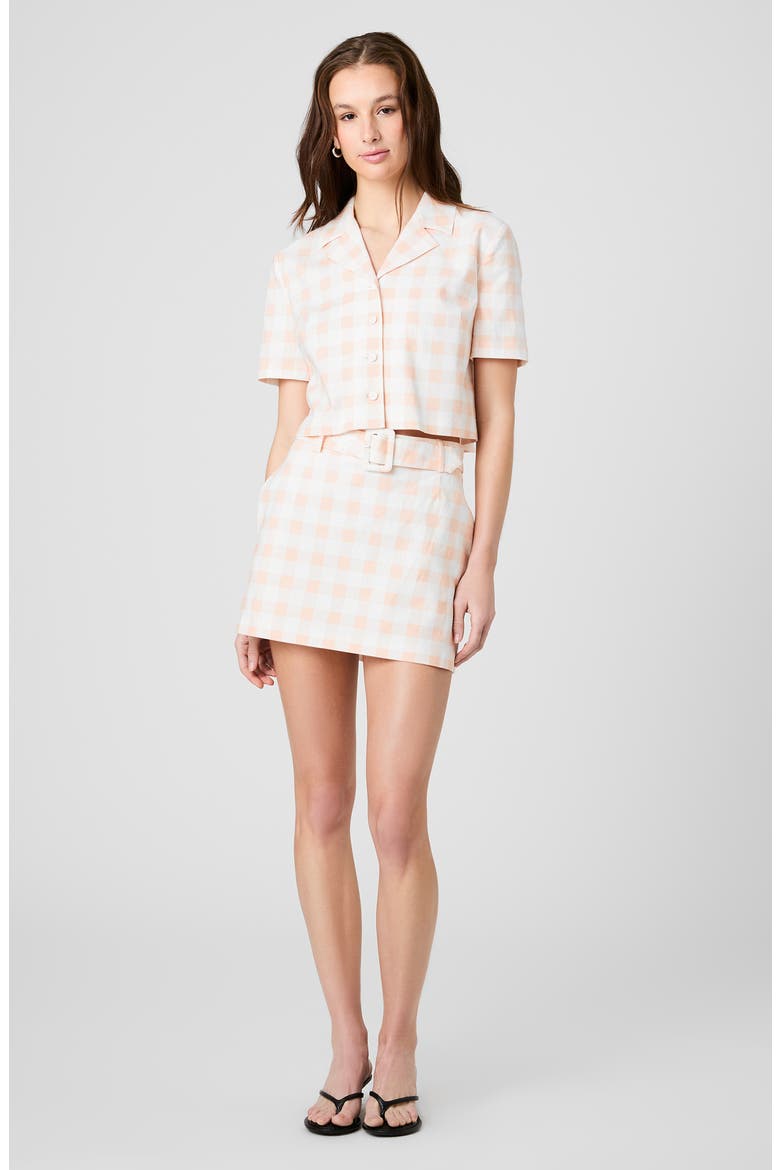 Belted Linen Blend Minidress, Alternate, color, SEASHELL GINGHAM