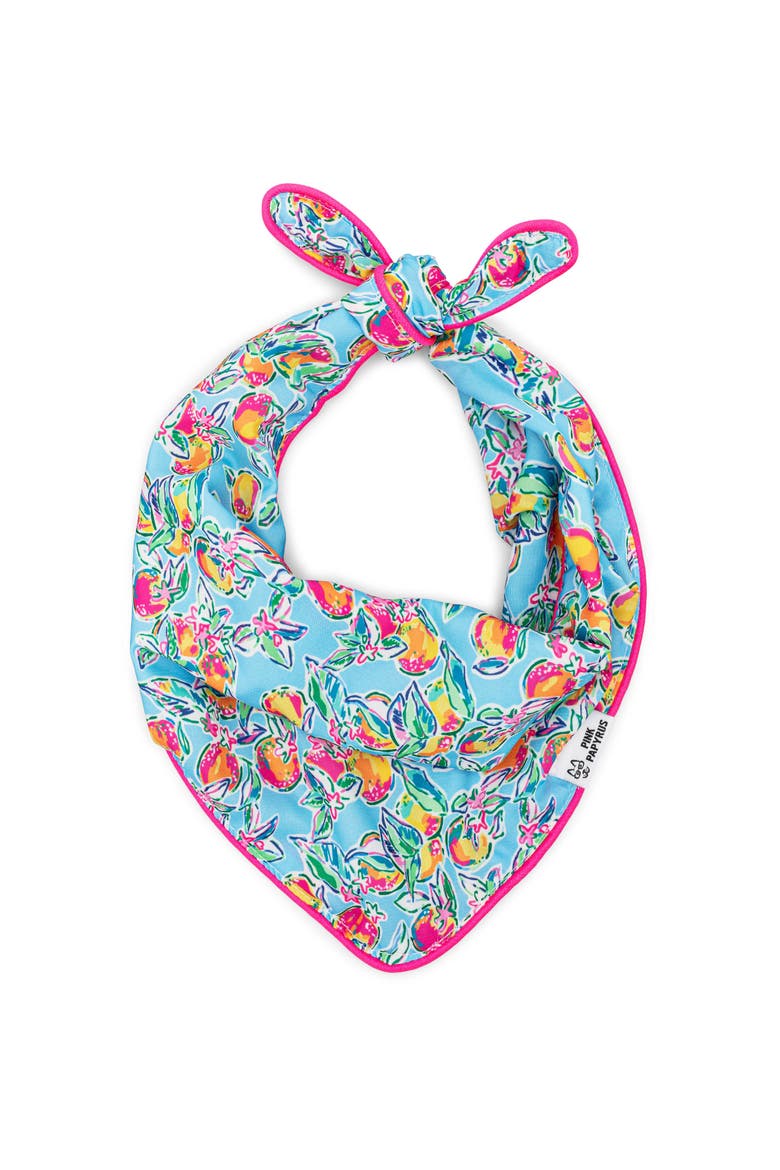 Tillie Pet Bandana, Main, color, Tillie
