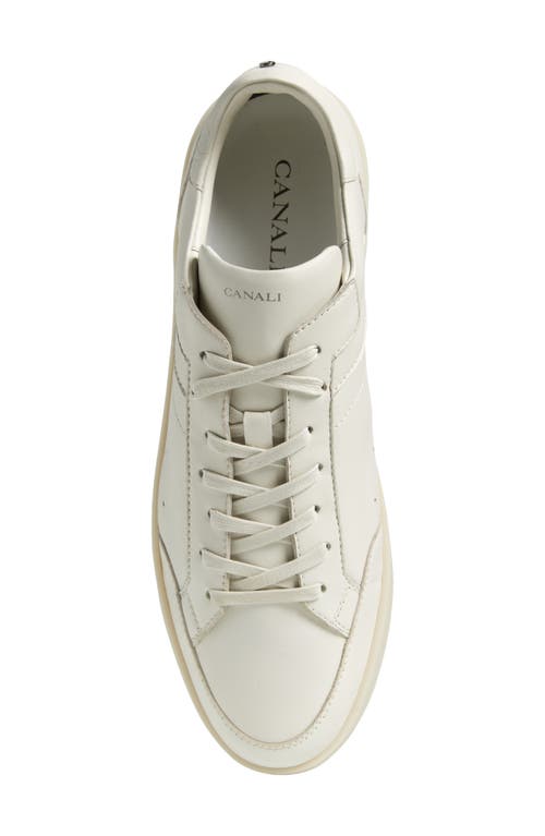 Canali Low Top Leather Sneaker In Natural