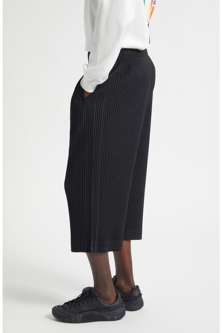 Monthly Colors May Pleated Crop Pants, Alternate, color, BLACK