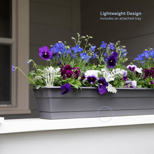 Bloem 24 Inch Dura Cotta Window Box Planter, Charcoal In Gray