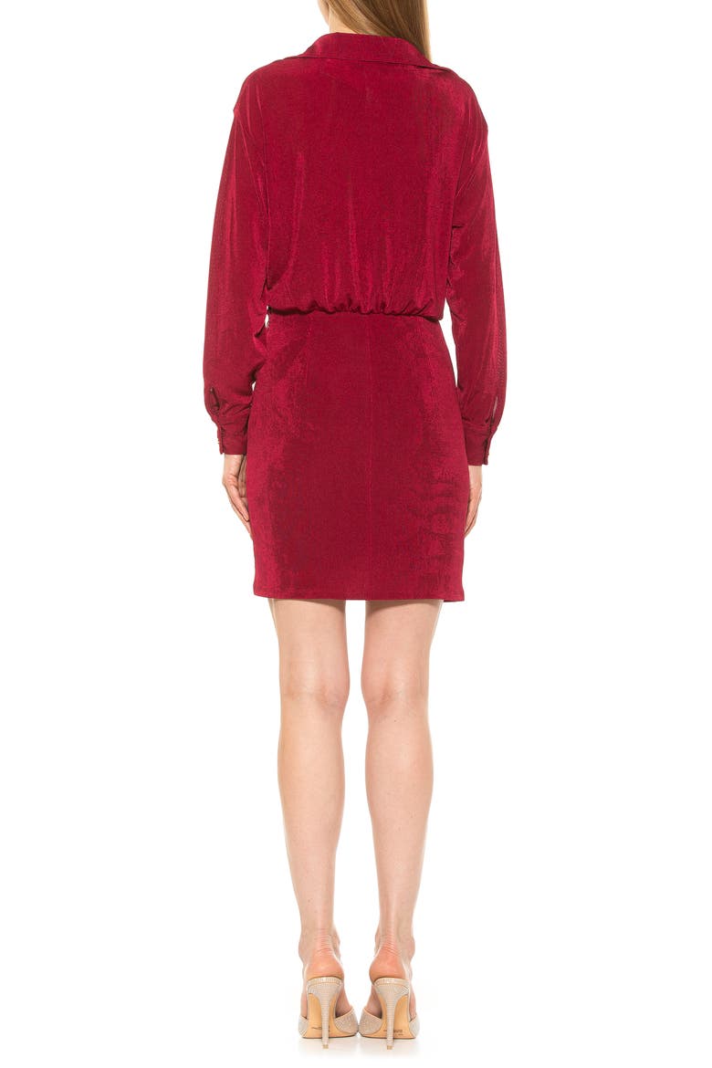 Avril Velvet Shirtdress, Alternate, color, BURGUNDY