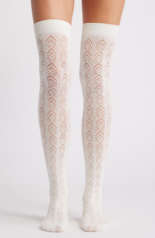 Hue Pointelle Over-the-Knee Socks in Pristine 