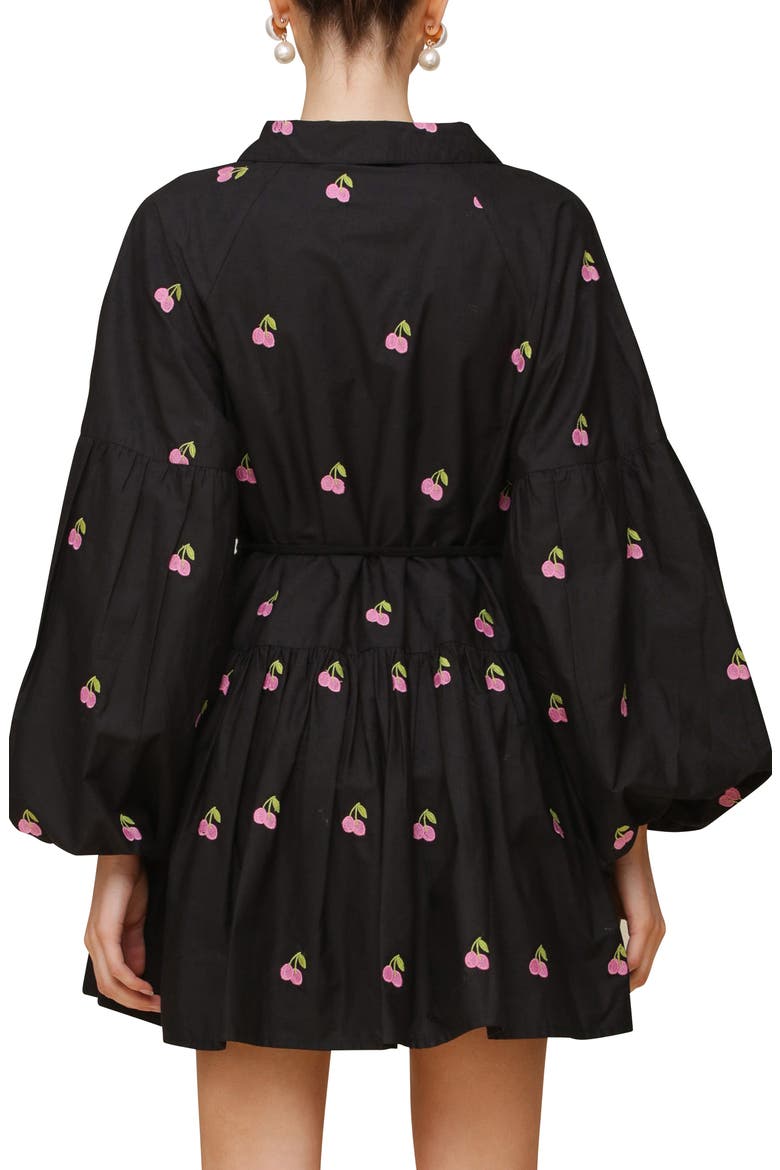 Embroidered Tie Waist Long Sleeve Minidress, Alternate, color, BLACK