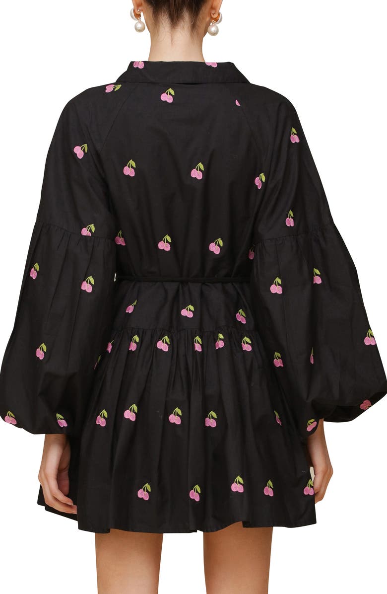 Avec Les Filles Embroidered Tie Waist Long Sleeve Minidress, Alternate, color, 