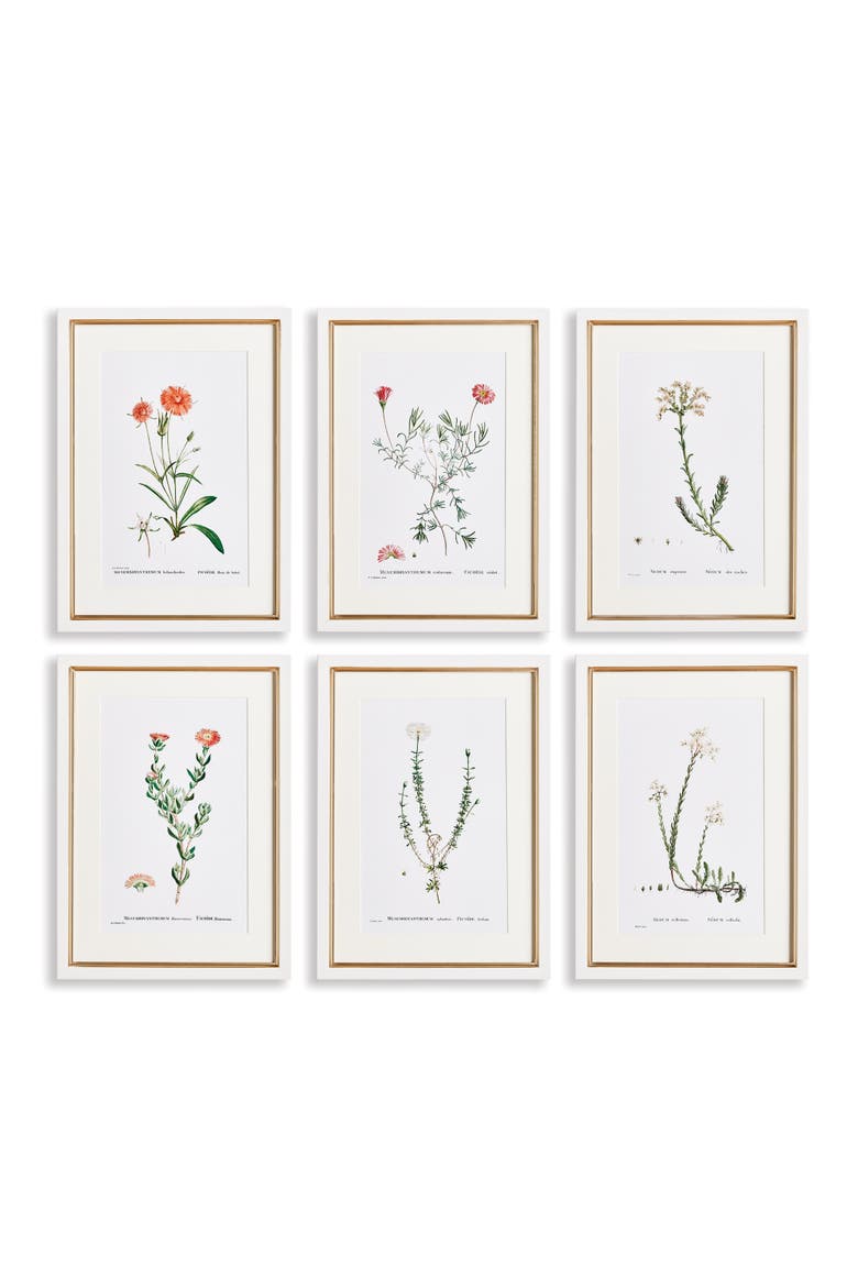 Flower Studies In Shades Of Blush Framed Wall Art Set of 6, Main, color, Beige