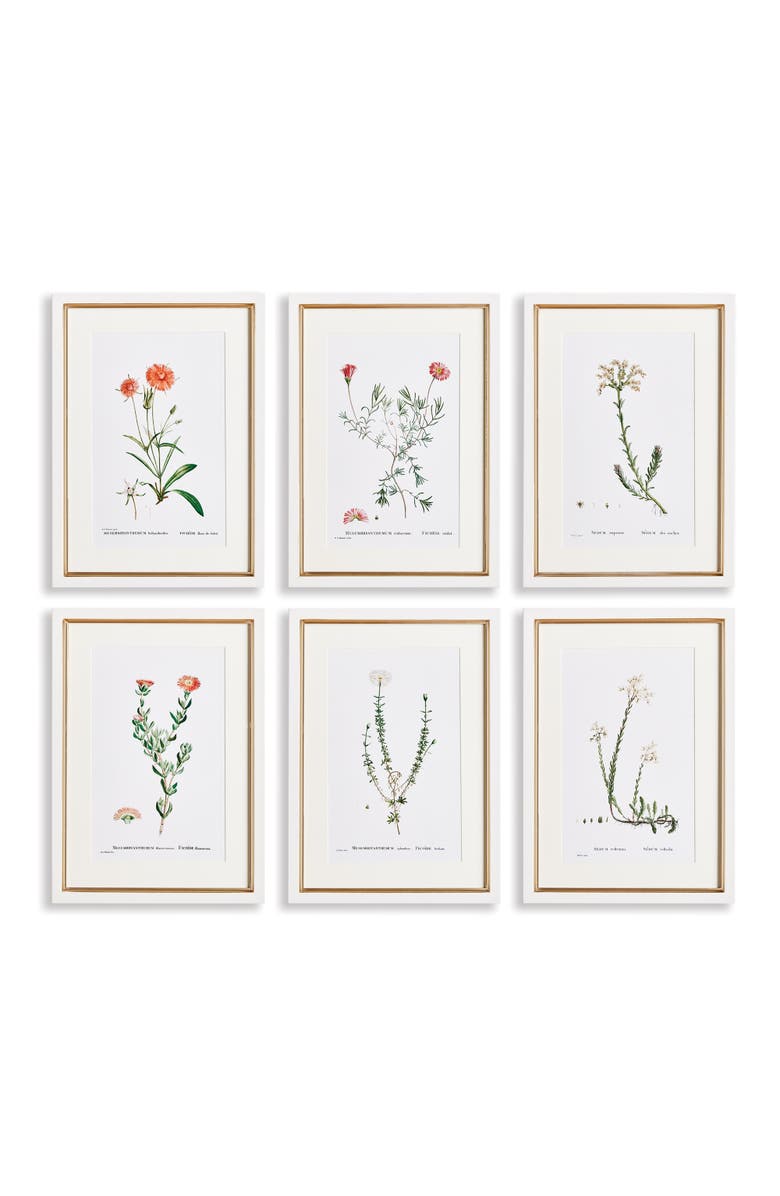 Napa Home & Garden Flower Studies In Shades Of Blush Framed Wall Art Set of 6, Main, color, Beige