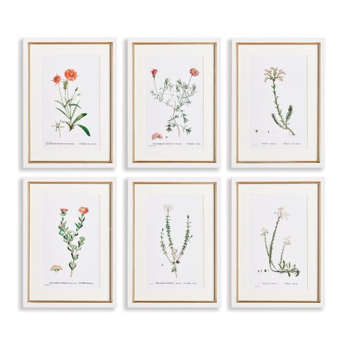 Napa Home & Garden Flower Studies In Shades Of Blush Framed Wall Art Set Of 6 In Sand
