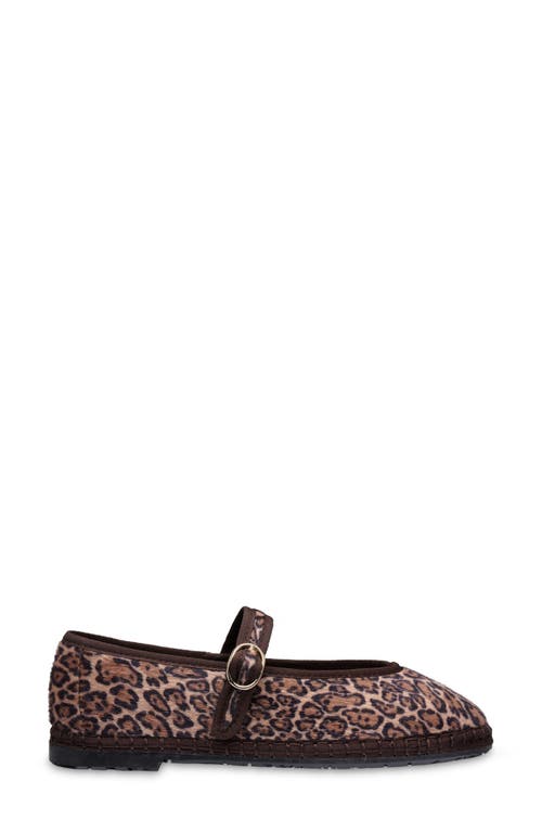 Flabelus Pierre Mary Jane Flat In Brown