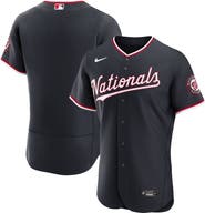 Nike Men's Nike  Navy Washington Nationals Alternate Authentic Jersey