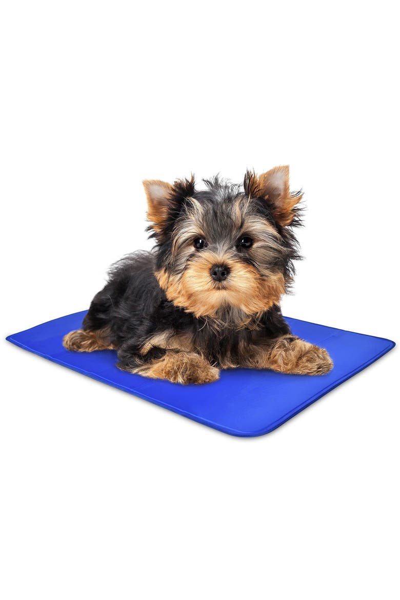 Dog Cooling Mat, Durable, Non-Toxic Gel Dog Bed Mat for Kennels, Crates & Beds, Main, color, Blue