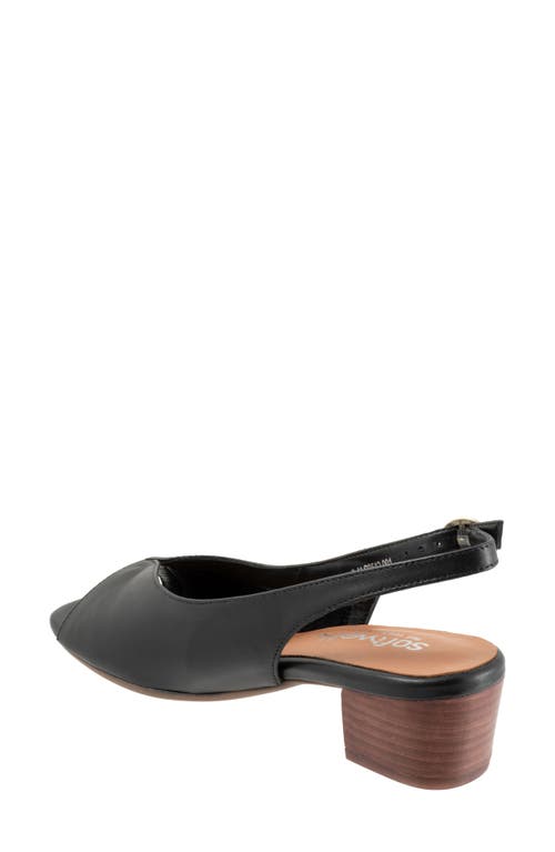 Softwalk ® Lakewood Slingback Sandal In Black