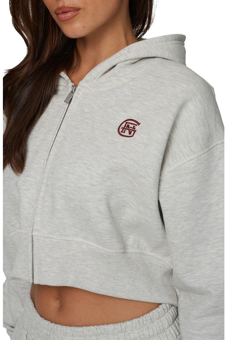 Cropped Zipped Halftone Hoodie, Alternate, color, Grey