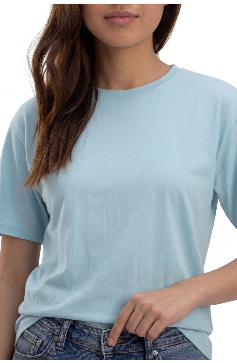 Solomon & Sage Women's Relax Crewneck Tee, Alternate, color, Sky Blue